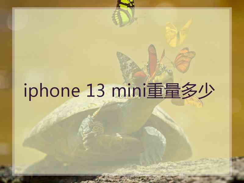 iphone 13 mini重量多少