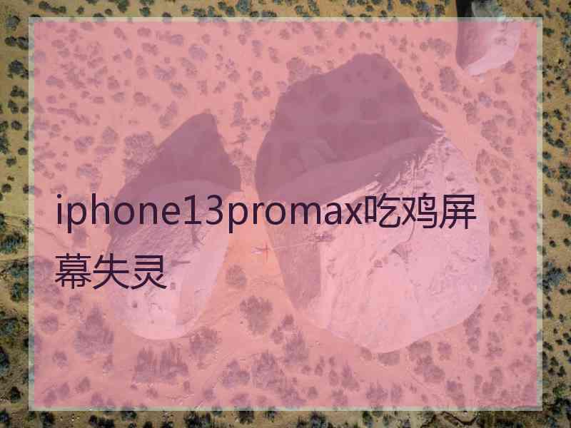 iphone13promax吃鸡屏幕失灵