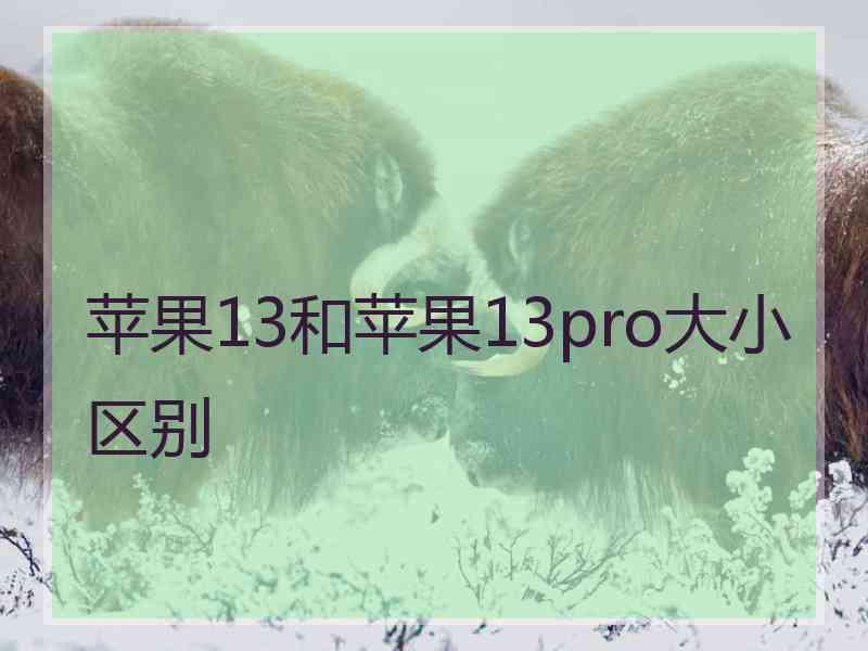 苹果13和苹果13pro大小区别