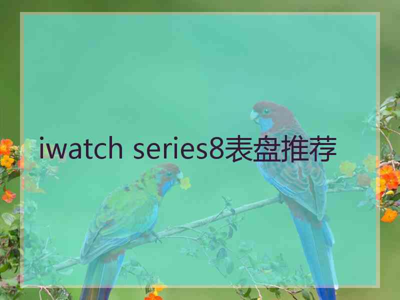 iwatch series8表盘推荐