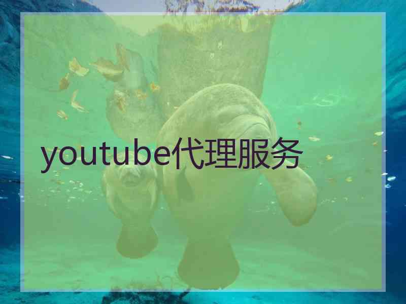 youtube代理服务