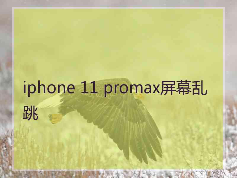 iphone 11 promax屏幕乱跳