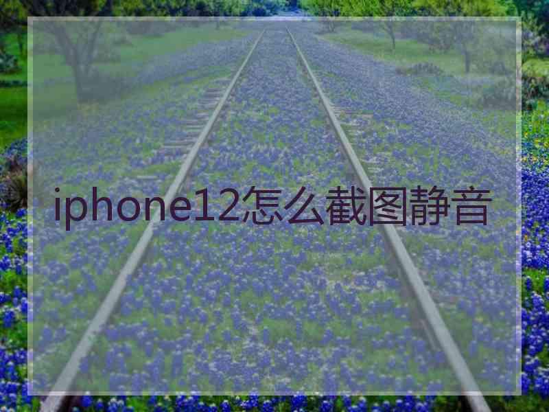 iphone12怎么截图静音