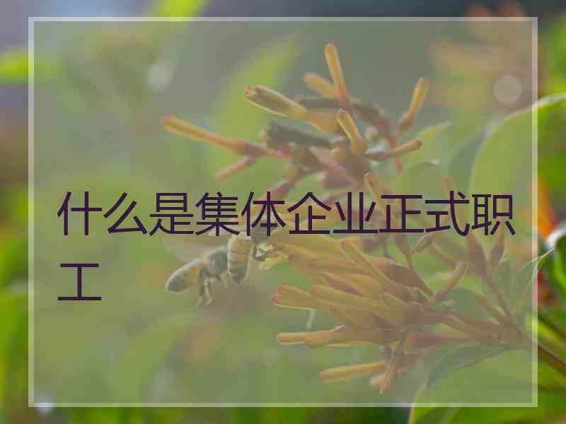 什么是集体企业正式职工