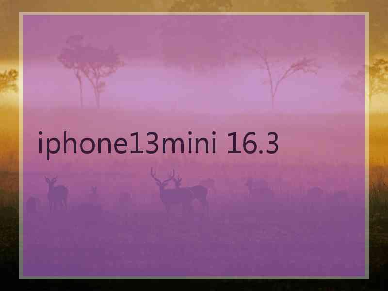 iphone13mini 16.3