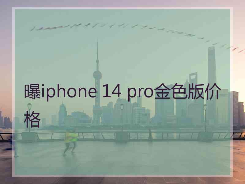 曝iphone 14 pro金色版价格