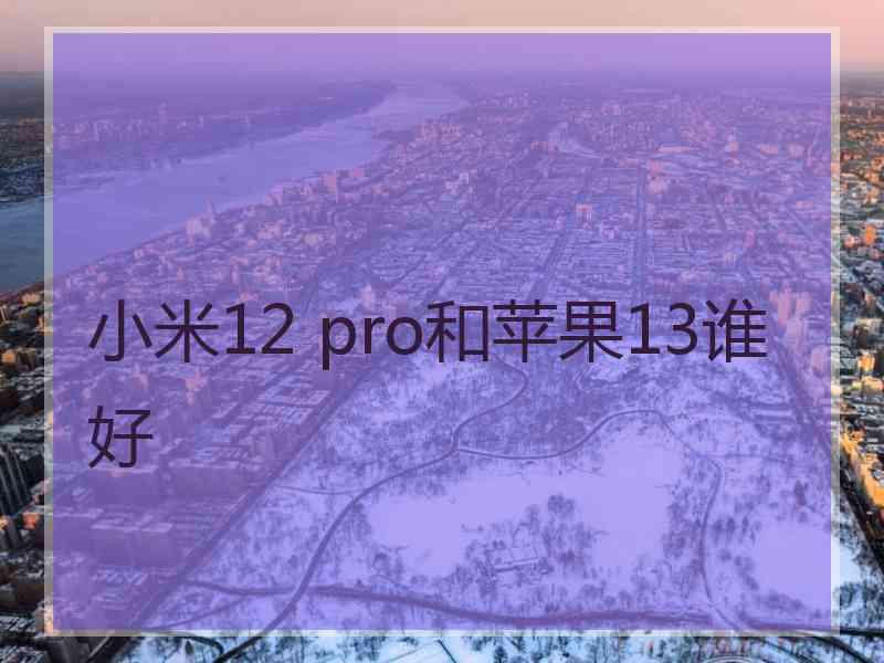 小米12 pro和苹果13谁好