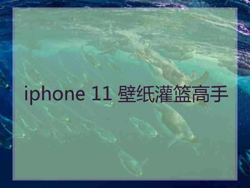 iphone 11 壁纸灌篮高手