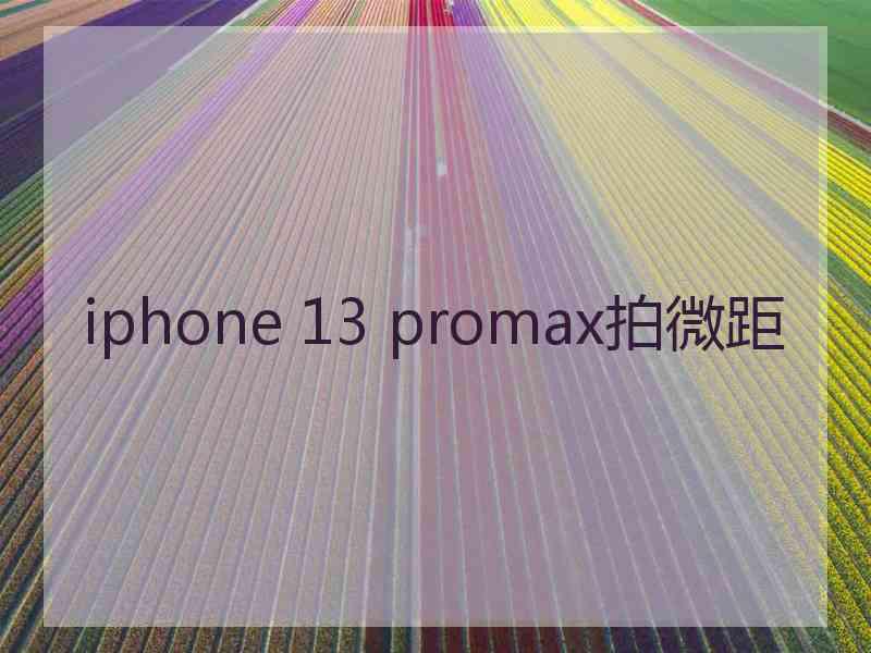 iphone 13 promax拍微距