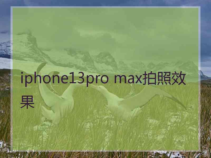 iphone13pro max拍照效果