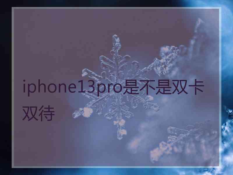 iphone13pro是不是双卡双待