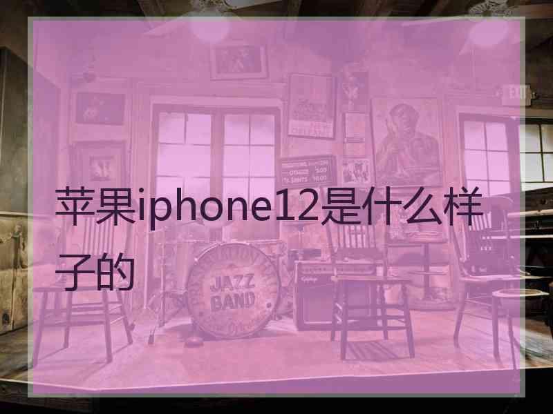 苹果iphone12是什么样子的