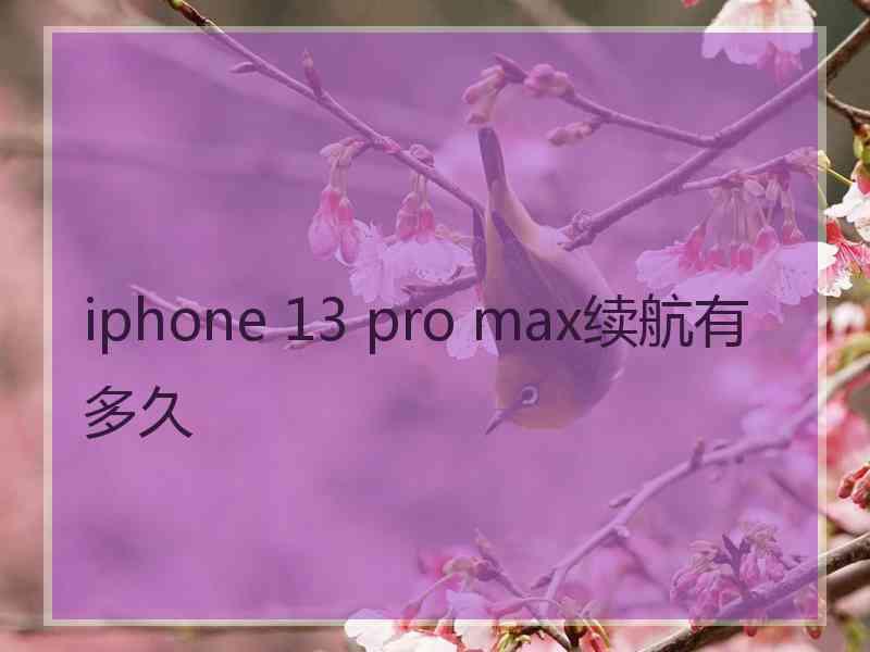 iphone 13 pro max续航有多久