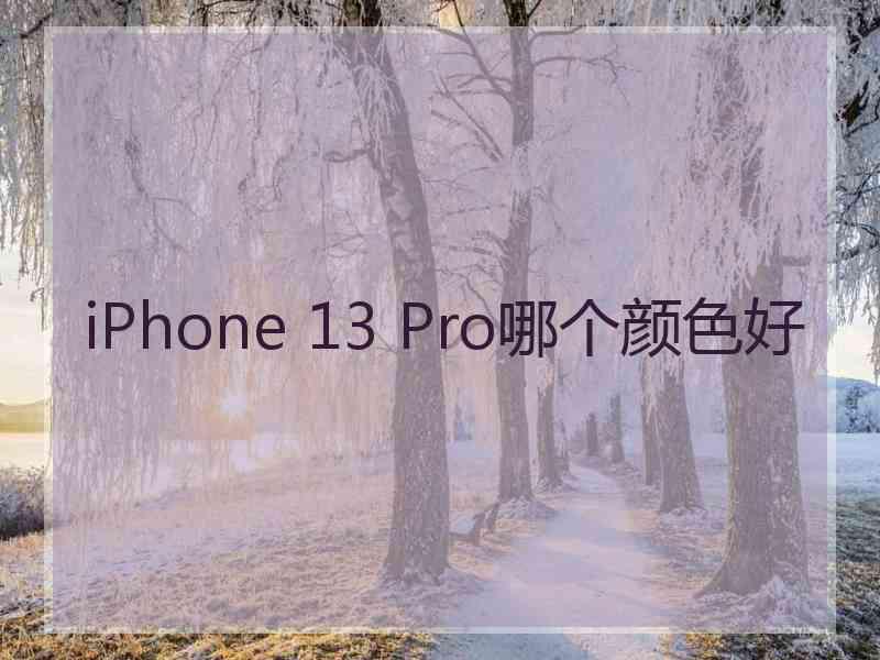 iPhone 13 Pro哪个颜色好