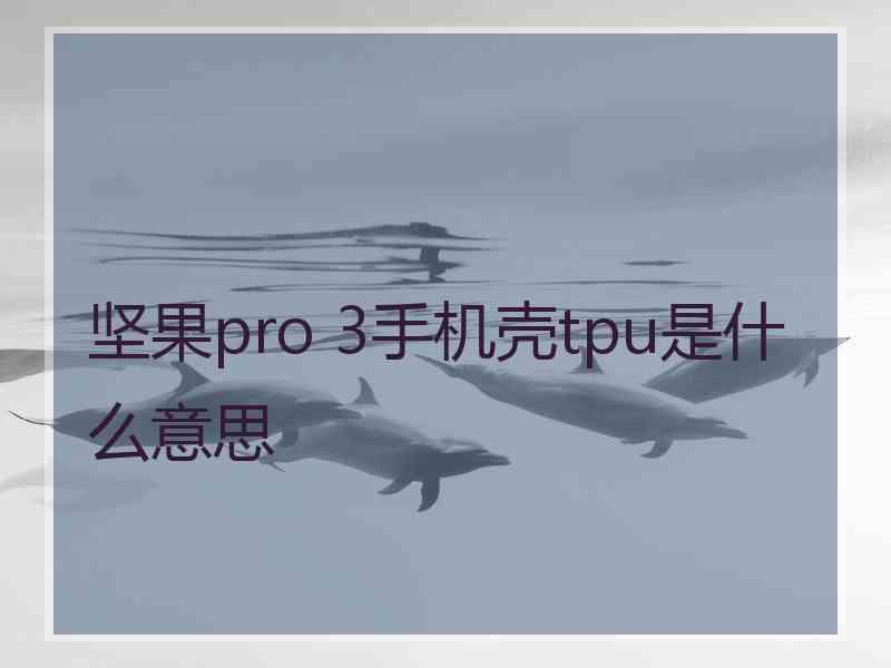 坚果pro 3手机壳tpu是什么意思