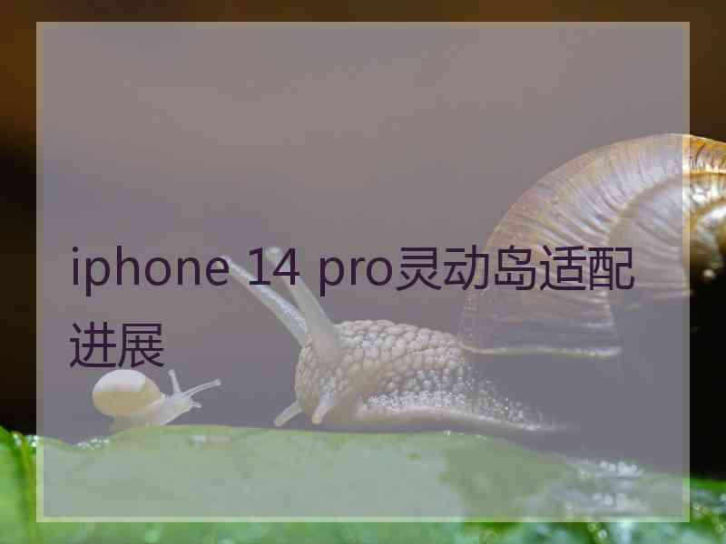 iphone 14 pro灵动岛适配进展