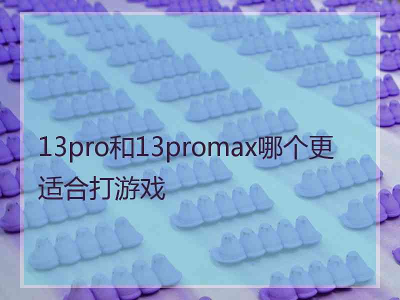 13pro和13promax哪个更适合打游戏