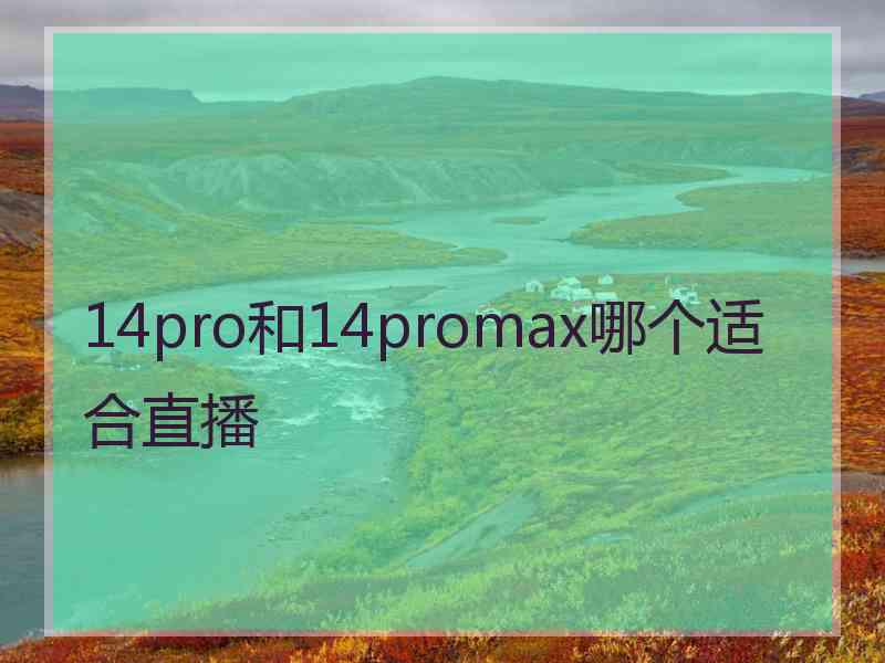 14pro和14promax哪个适合直播