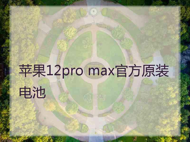 苹果12pro max官方原装电池