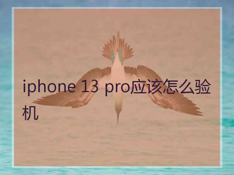 iphone 13 pro应该怎么验机