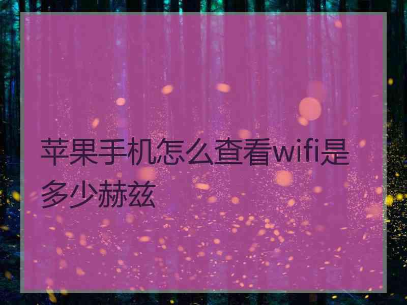 苹果手机怎么查看wifi是多少赫兹