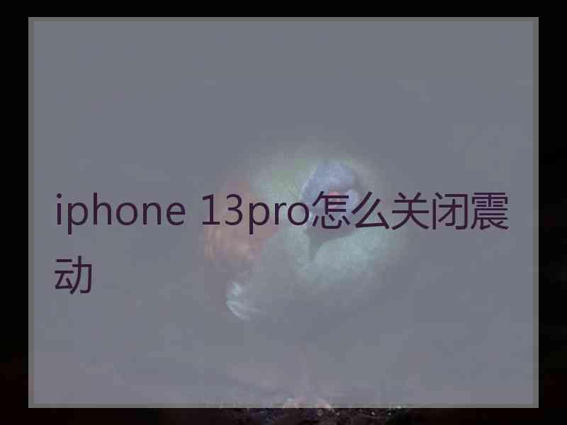 iphone 13pro怎么关闭震动