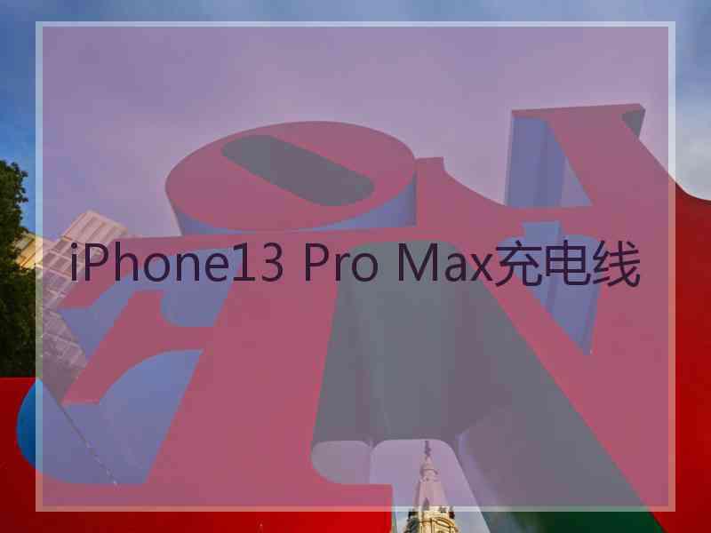 iPhone13 Pro Max充电线