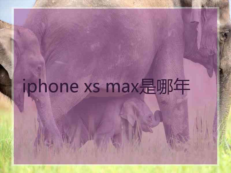 iphone xs max是哪年