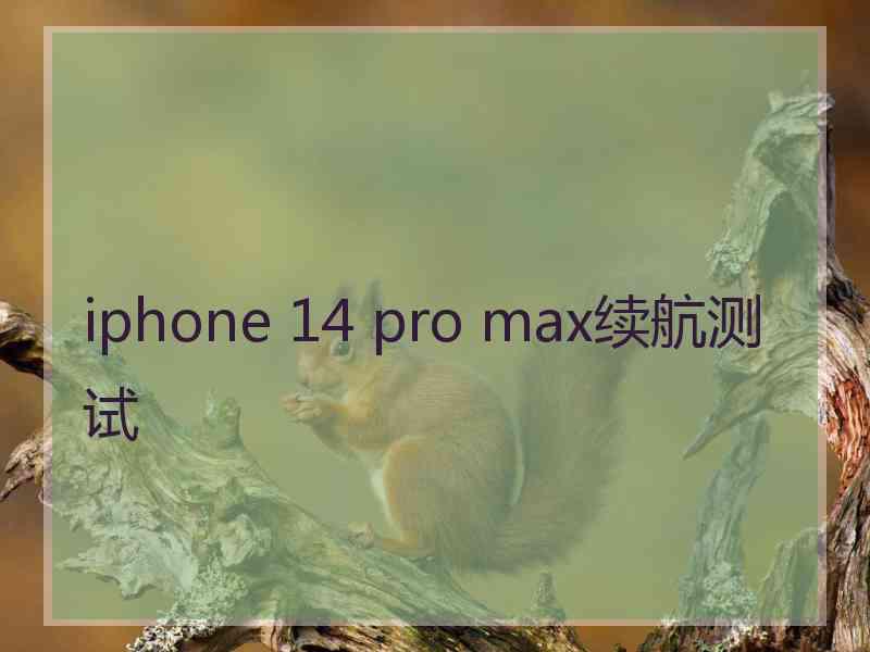 iphone 14 pro max续航测试