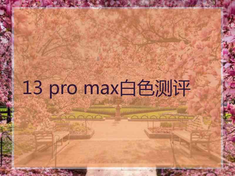 13 pro max白色测评