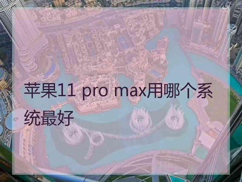 苹果11 pro max用哪个系统最好