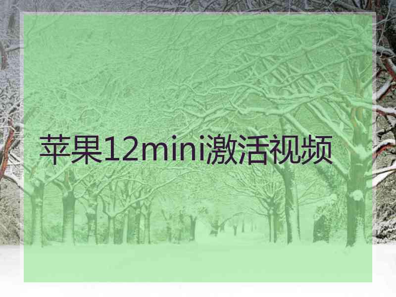 苹果12mini激活视频