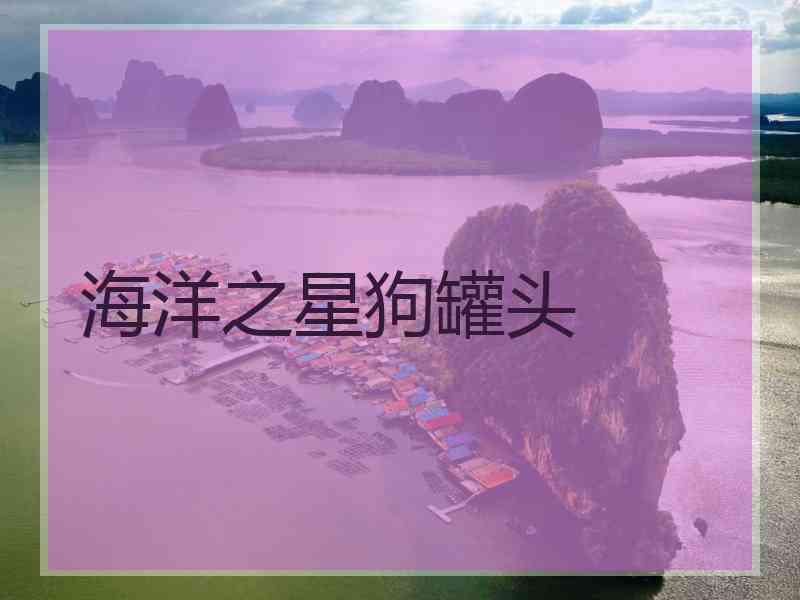 海洋之星狗罐头