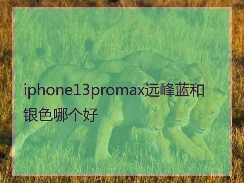 iphone13promax远峰蓝和银色哪个好