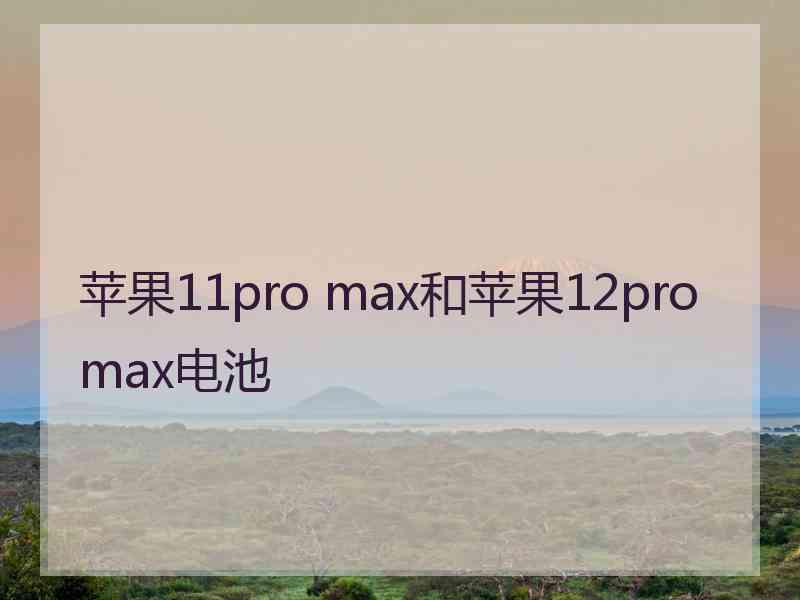 苹果11pro max和苹果12promax电池