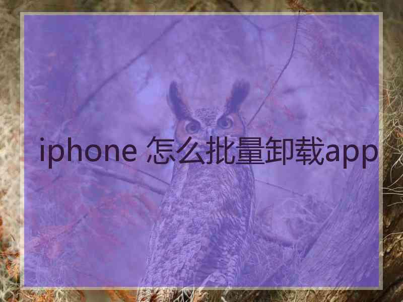 iphone 怎么批量卸载app