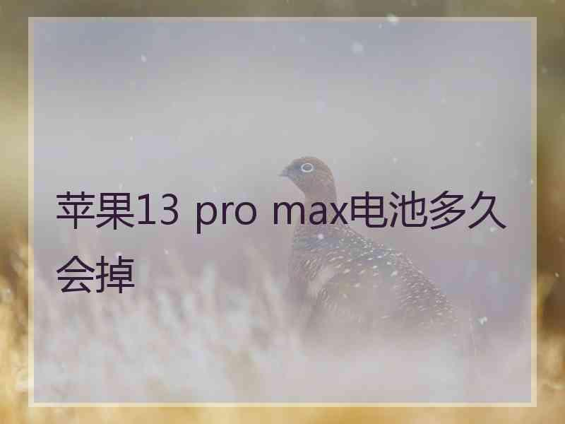 苹果13 pro max电池多久会掉