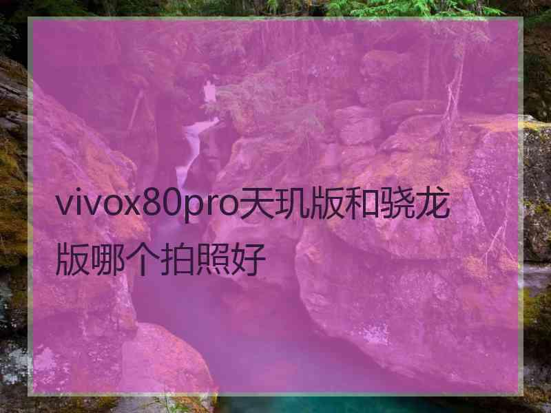 vivox80pro天玑版和骁龙版哪个拍照好