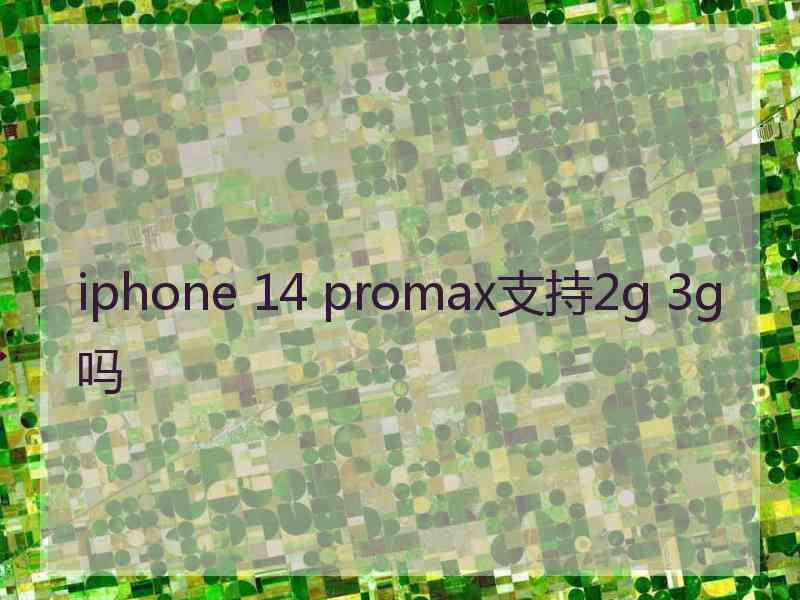 iphone 14 promax支持2g 3g吗