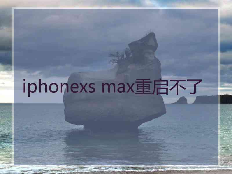 iphonexs max重启不了