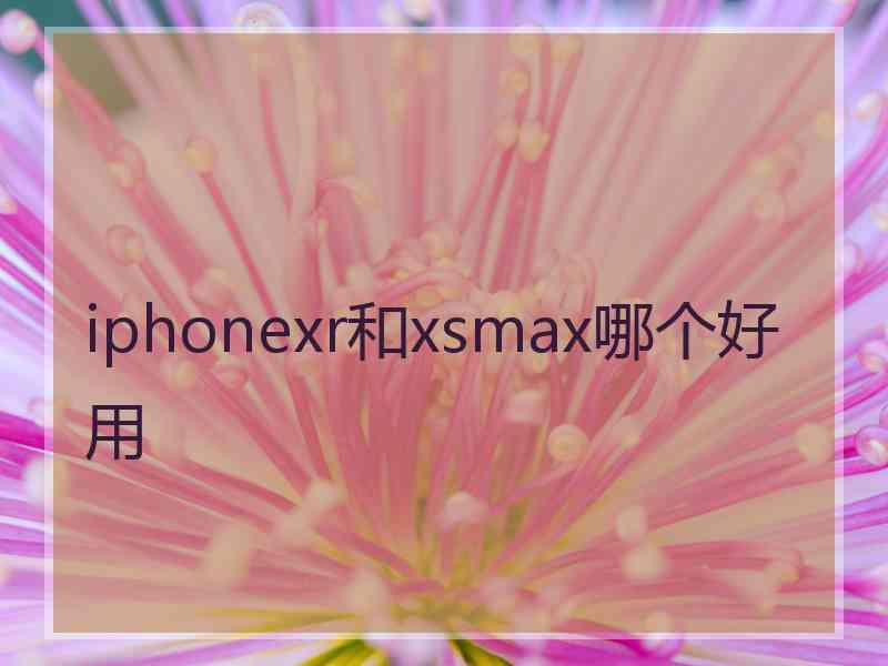 iphonexr和xsmax哪个好用