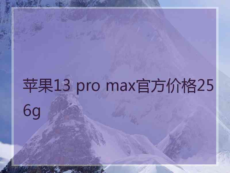 苹果13 pro max官方价格256g