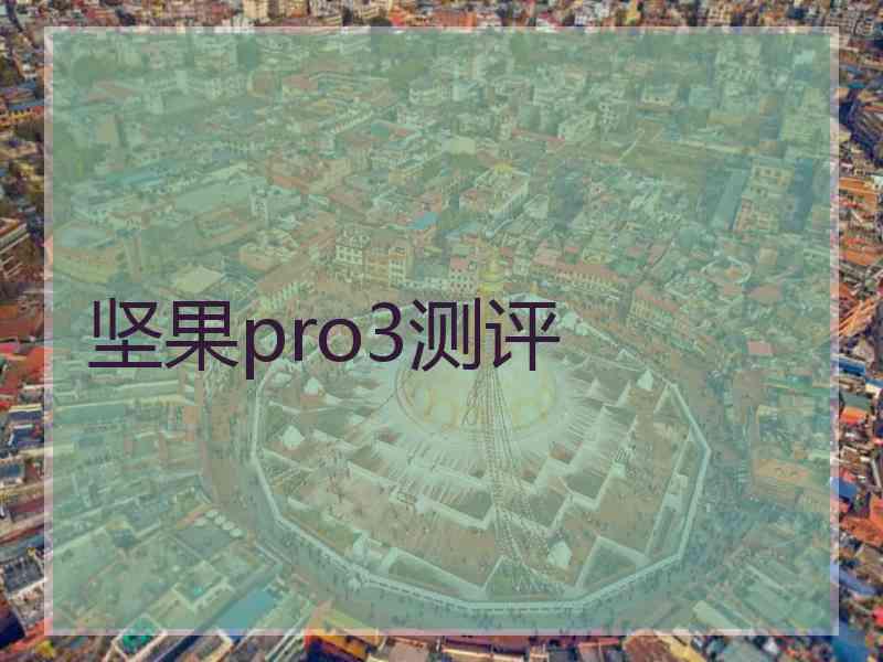 坚果pro3测评