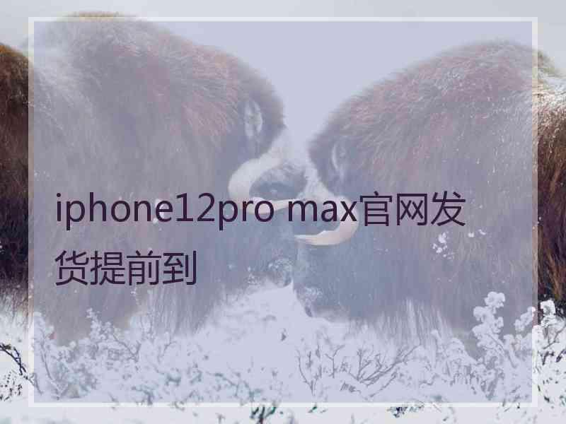 iphone12pro max官网发货提前到