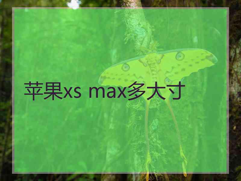 苹果xs max多大寸