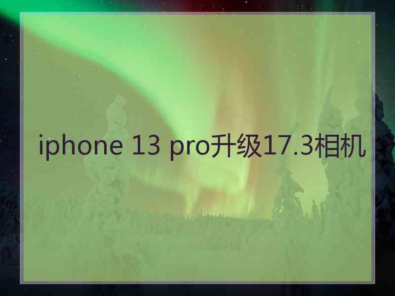 iphone 13 pro升级17.3相机