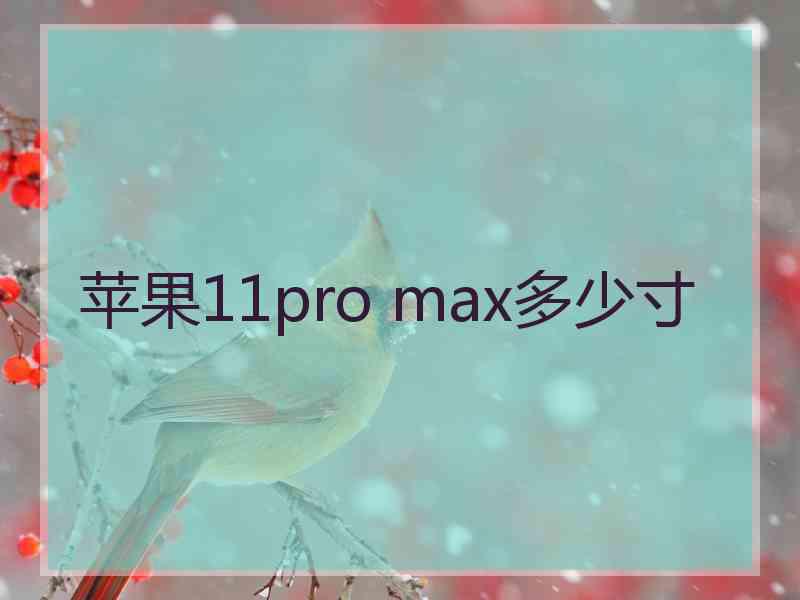 苹果11pro max多少寸