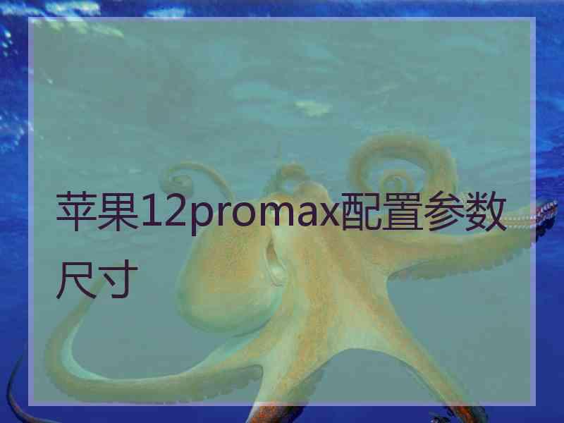 苹果12promax配置参数尺寸