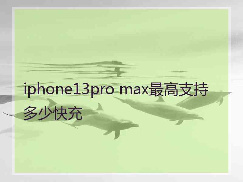 iphone13pro max最高支持多少快充