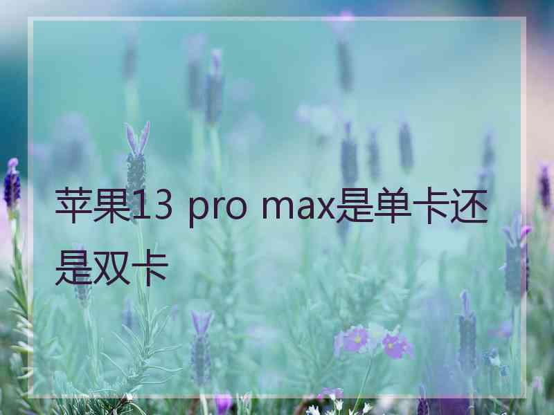 苹果13 pro max是单卡还是双卡